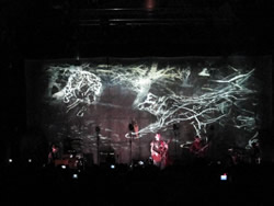 Jonsi Alcatraz