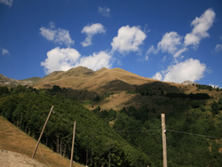 Limonetto